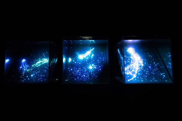 富士胶片透明投影膜与3D影像有机结合，4层展示空间“生命之泉”（LIFERIUM）作品呈现实体水箱中闪烁浮游的海洋幻境