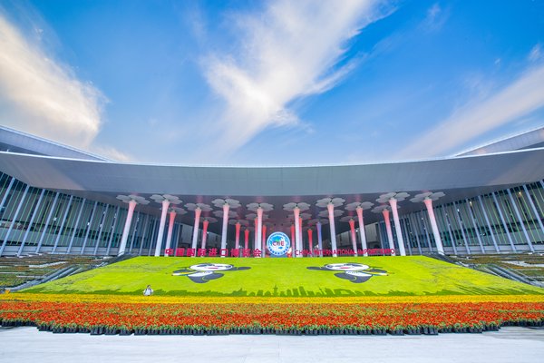 第二届中国国际进口博览会正式接受境外专业观众报名