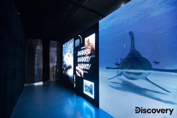 Discovery鲨鱼周”Blue Blue Blue“快闪市集鲨鱼暗房