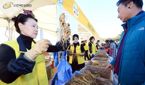 The Korean Ginseng festivals