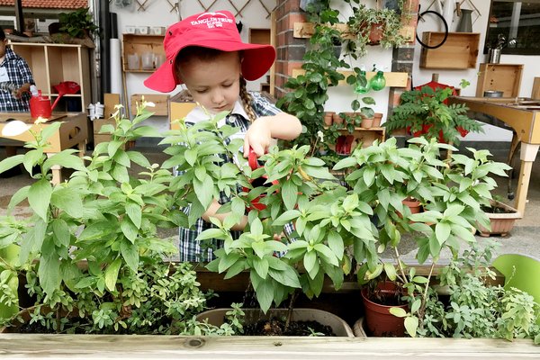 Outdoor areas are a magical hive of activity where children can eagerly explore.