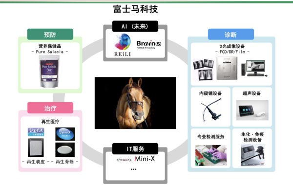 富士胶片旗下包括“预防-诊断-治疗”在内的全方位马匹医疗解决方案