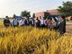Scientific research experts and representatives of agricultural enterprises from China visit the National Institute for Genomics & Advanced Biotechnology at the invitation of the Ministry of National Food Security & Research.