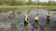 英特尔员工志愿者连续八年参与湿地保护