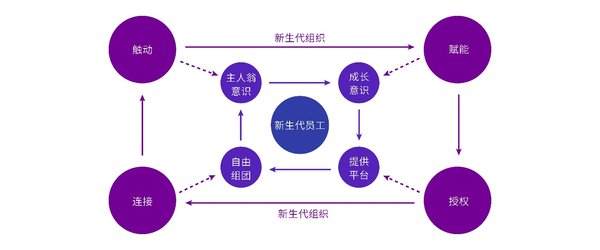 新生代组织示意图