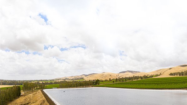 Pernod Ricard Winemakers Centenary Hill Vineyard Dam, Barossa Valley