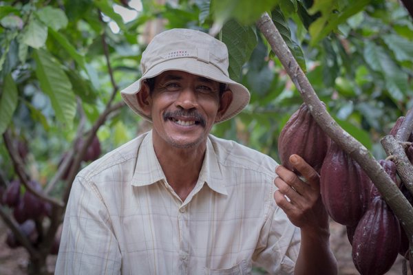 Our pilot project in Indonesia looks at enabling farmers to develop their farms into rehabilitated, diverse, professionally run farms.