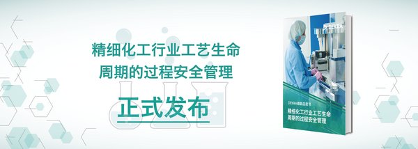 DEKRA德凯精细化工行业工艺生命周期的过程安全管理白皮书