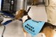 Dogs trained to detect passengers’ hand-luggage