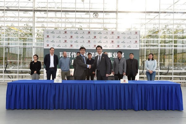2020年1月16日，拜耳作物科学蔬菜事业部大中华区总经理李一凡（左五）与北京极星农业有限公司总经理徐丹（右五）代表双方公司签署战略协议