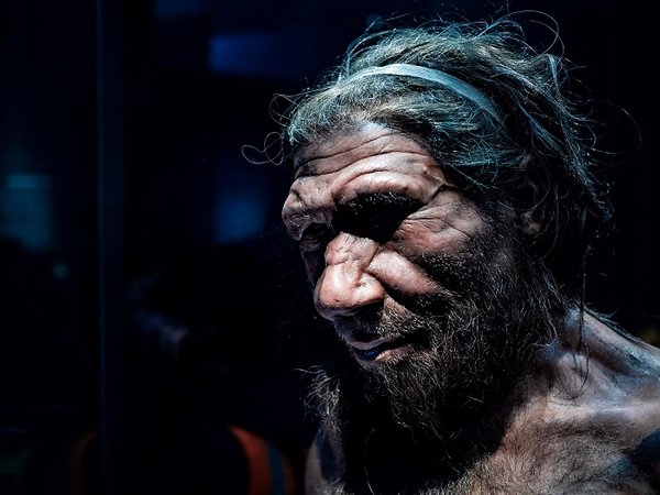 A replica of a male Neanderthal at London’s Natural History Museum