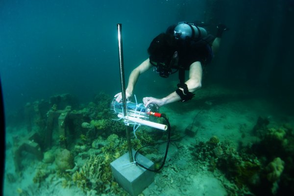 智能水下摄像机可对海洋生物进行计数、拍摄和分类，从而帮助埃森哲、英特尔以及Sulubaai环境基金会以数据为依据进行决策，更好地修复菲律宾班加塔兰岛周围的珊瑚礁。