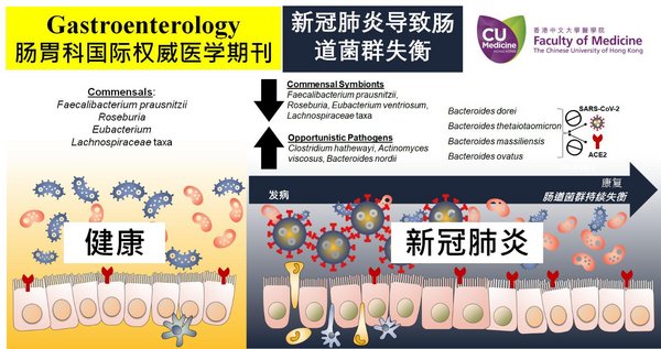 The research has been published in the international medical journal Gastroenterology.