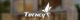 小燕科技Logo，Terncy Logo