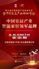 中国家居产业发展年会：A.O.史密斯荣获“大雁奖”