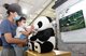 2020年服贸会观众参观中国搜索“5G熊猫慢直播”项目展位 摄影：宋家儒