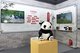 2020年服贸会中国搜索“5G熊猫慢直播”项目展位前观众络绎不绝 摄影：宋家儒
