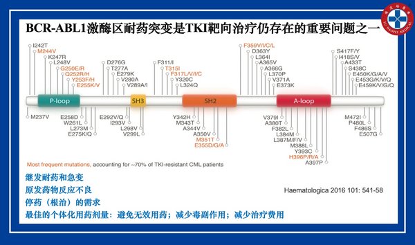 BCR-ABL1激酶区耐药突变是TKI靶向治疗仍存在的重要问题之一