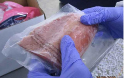 启迈QIMA – 食品检验员进行单块冻鱼检验