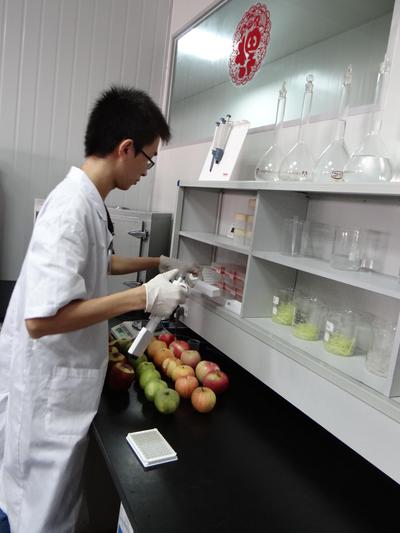 沃尔玛深圳生鲜配送中心快速检测试验室工作人员进行农药残留检测