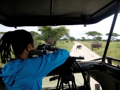 2014年，保利科技發起「坦桑公益行」活動，旨在提升公民的環境和野生動物保護意識，受到坦總統高度讚賞
