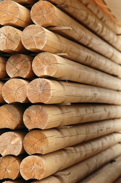 SGS正式获得欧盟木材法规监管机构资质