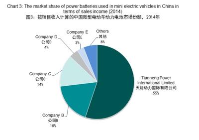Market share of mini electric vehicles
