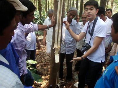 亚洲种植园资本公司和合作伙伴一起查看在印度注射结香的沉香树