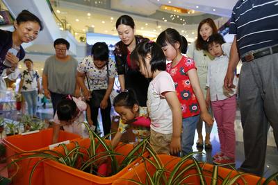 孩子們在活動現(xiàn)場種植綠苗