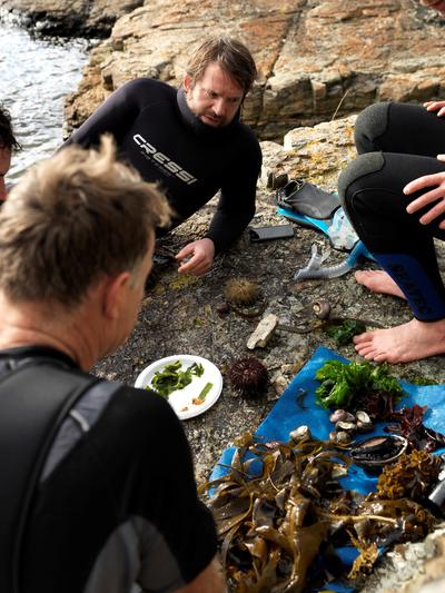 澳大利亞諾瑪餐廳的團隊在塔斯曼尼亞潛入海裡尋找海草食材 - 照片由 Jason Loucas 拍攝