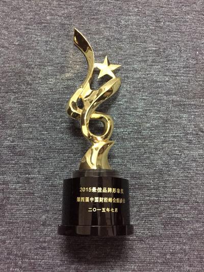 环球网获中国财经峰会“最佳品牌形象奖”