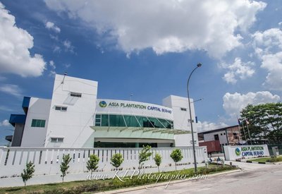 亚洲种植园资本公司在马来西亚栽种沉香木树苗