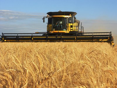 孟山都公司助力美国国家小麦产量赛事