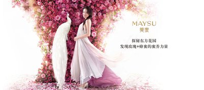 中国高端品牌美素MAYSU