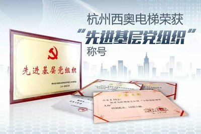 杭州西奥电梯荣获“先进基层党组织”称号