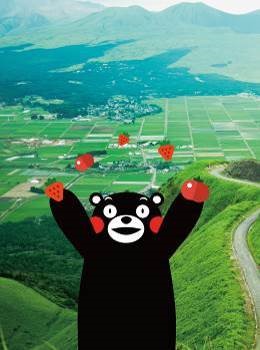 代表熊本县的吉祥物“Kumamon”受到日本全国及世界各地的高度关注，使熊本县成为近年另一着名的日本旅游胜地。此外，熊本县也是日本其中一个出产新鲜农产品及海产最多的地方，产品种类繁多且品质上乘，亦是日本出口该类产品的主要地方。