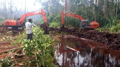 Aktiviti penyekatan saluran untuk memulihkan ladang kayu pulpa di landskap Sembilang, Sumatera Selatan