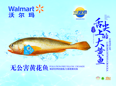 沃尔玛注重生鲜品质 无公害大黄鱼受热捧