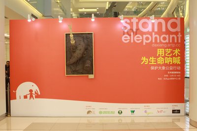 天下共生联合WCS举办保护大象公益展