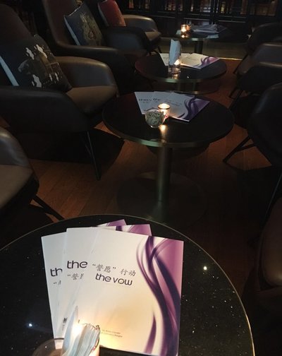 VOW Brochures at the Documentary Launch