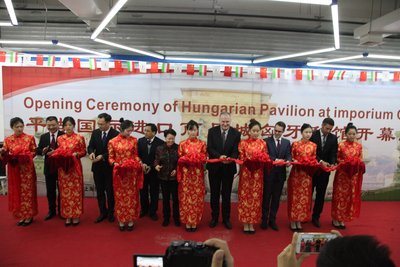 平湖国际进口商品城匈牙利馆开幕