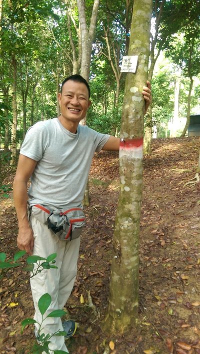 En. Chan Koon Wing bersama pokok Aquilaria sinensis di salah sebuah ladang Asia Plantation Capital di Malaysia.