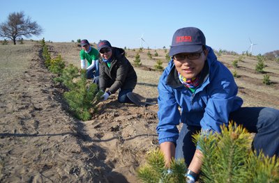 Brose employees actively involved in building “Brose forest”