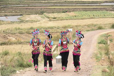 彝族盛大传统节日"三月会"之际，少女们穿上靓丽的民族服饰