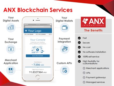 Appendix I – ANX Blockchain Services