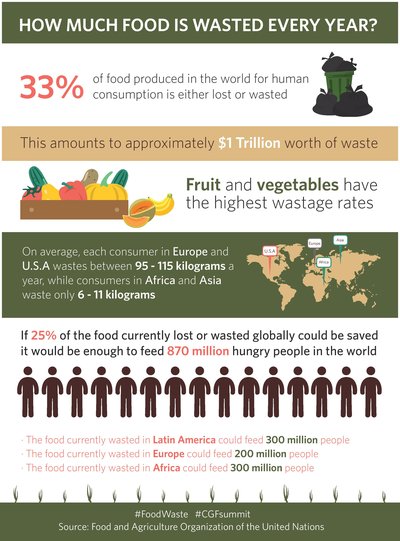FAO Infographic - How much food is wasted every year?