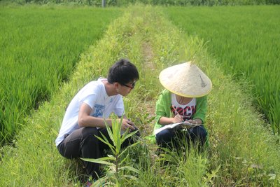南京农业大学的同学在田间进行生物多样性调研