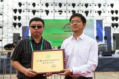 中国绿色碳汇基金会副秘书长苏宗海先生授予2016呼伦贝尔国际游牧音乐节“碳中和音乐节”称号