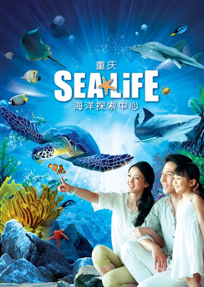 重庆海洋探索中心倡导全新环保理念 打造极致海洋探索之旅