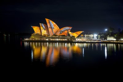 Vivid Sydney 2016, Sydney Opera House, Songlines, Seniman Donny Woolagoodja. Kredit: Destination NSW, JH 0004